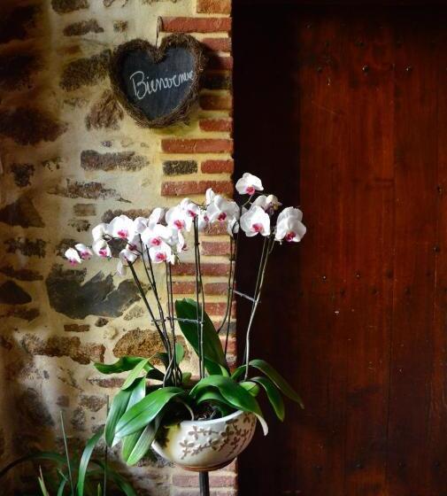 标准间, La Frapperie