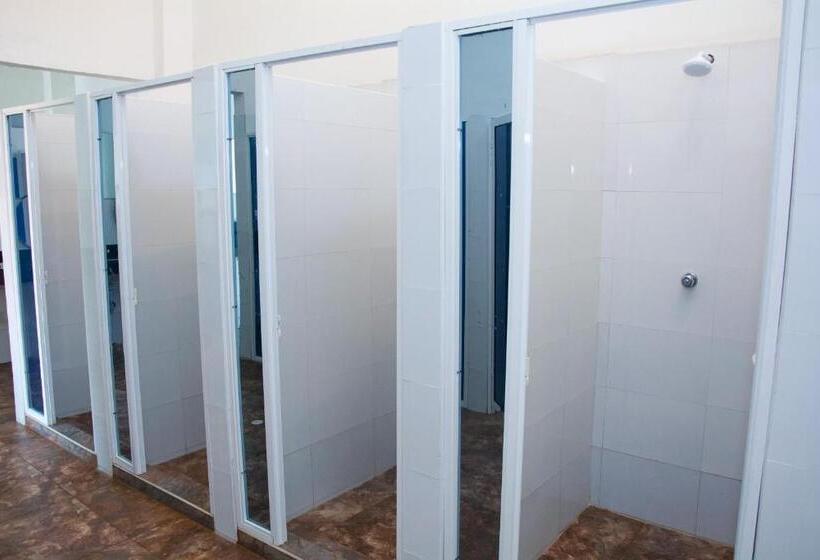 共用房间的床, Media Luna Hostel