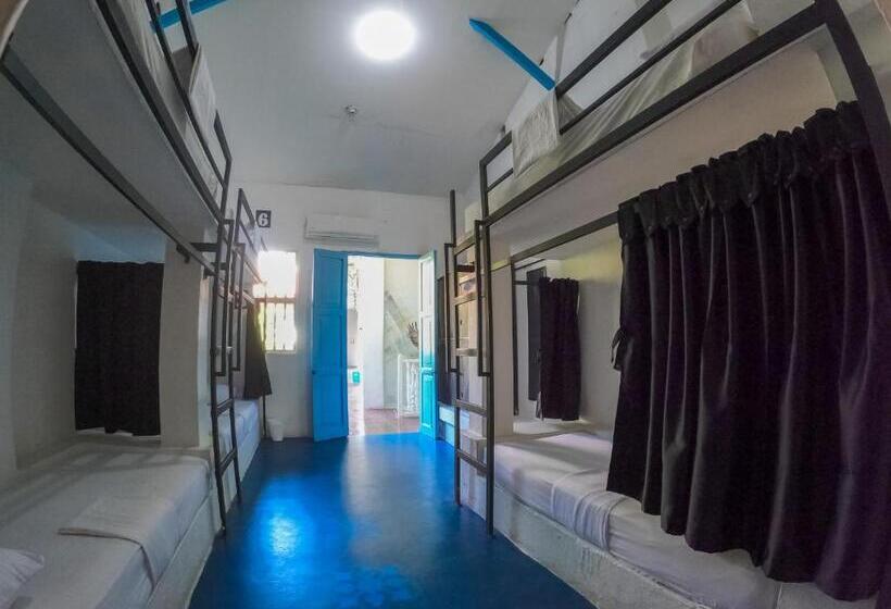 Кровать в Общей Комнате, Media Luna Hostel