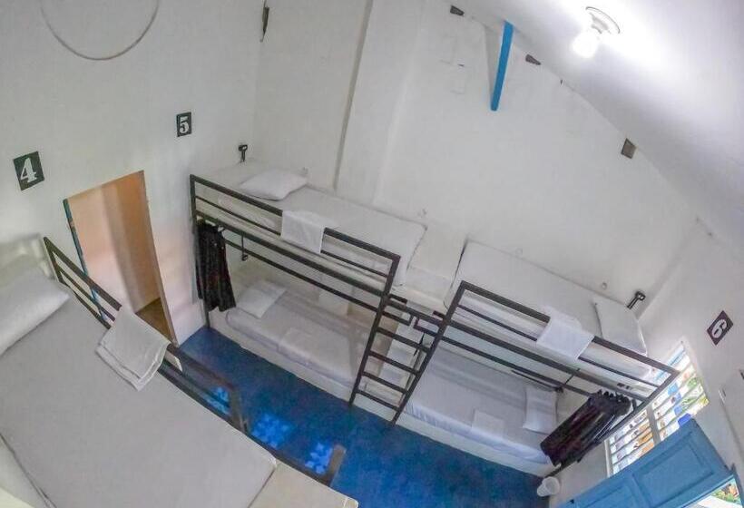 共用房间的床, Media Luna Hostel