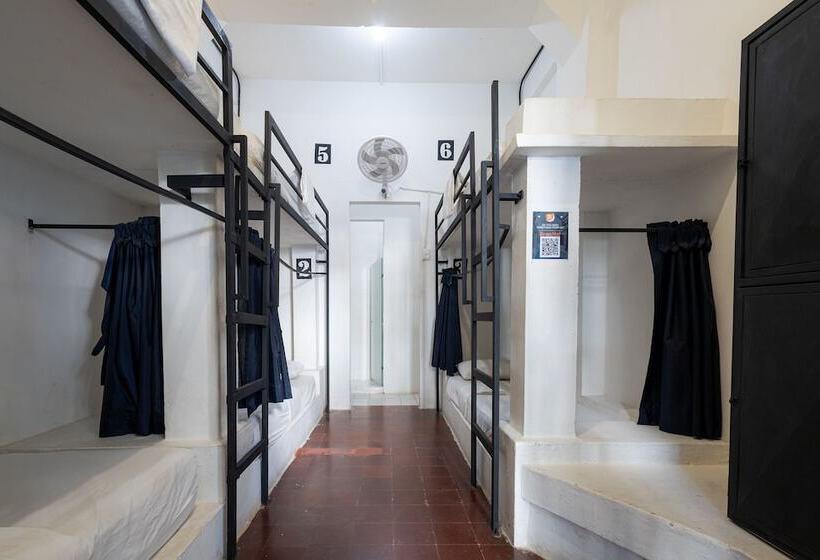 共用房间的床, Media Luna Hostel