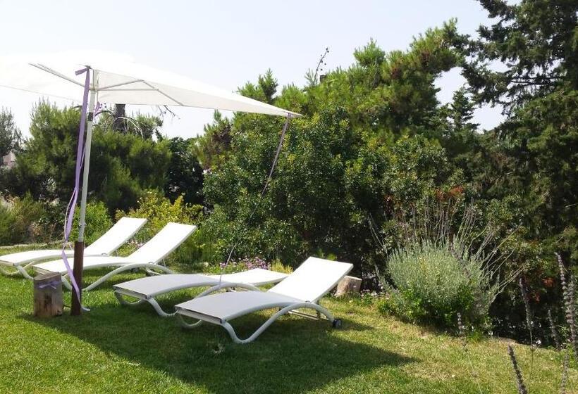 חדר סטנדרט, Biancadamare