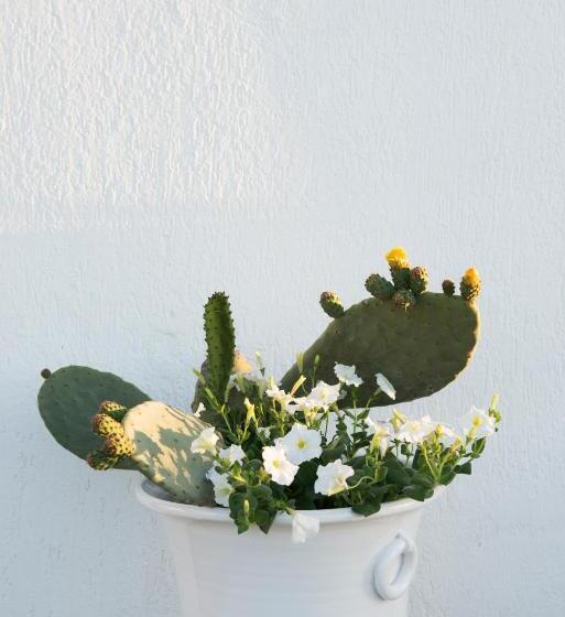 חדר סטנדרט, Biancadamare