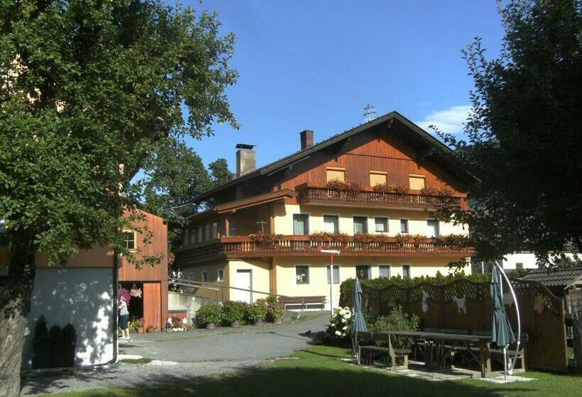 庭の見える1ベッドルームアパートメント, Bauernhof Katin