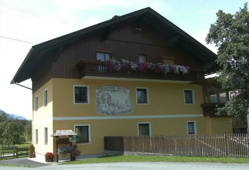 Апартаменты 1 Спальня Вид на Сад, Bauernhof Katin