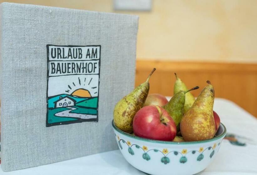 庭の見える1ベッドルームアパートメント, Bauernhof Katin