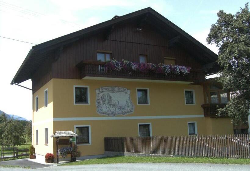 Апартаменты 3 Спальни, Bauernhof Katin