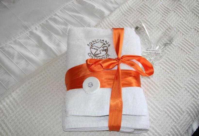 סוויטה, Ponciana Superior Guesthouse