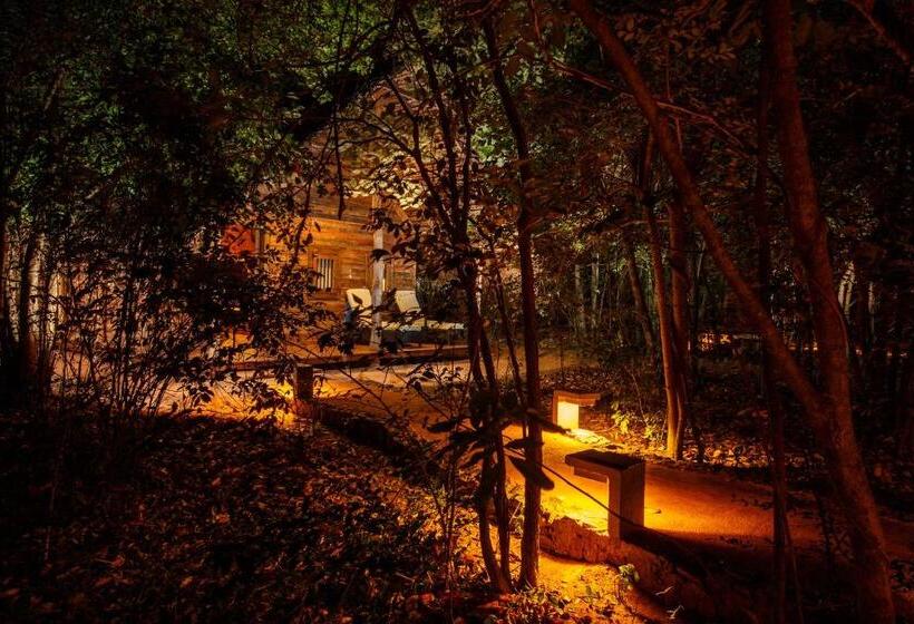 一居室别墅, Aliya Resort And Spa   Thema Collection