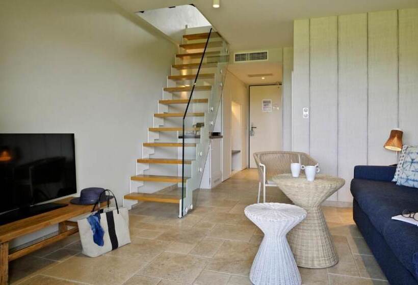 Люкс Дюплекс, Bartaccia