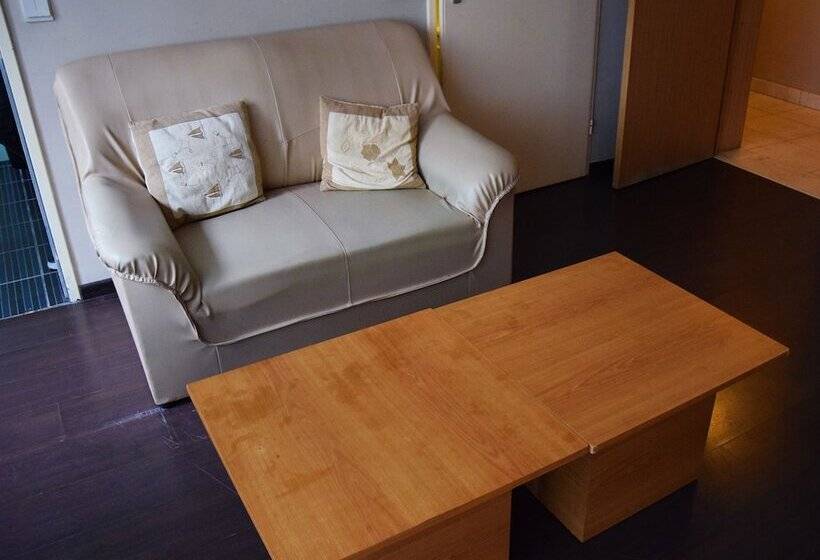 إستوديو قياسى, Budget Flats Antwerpen