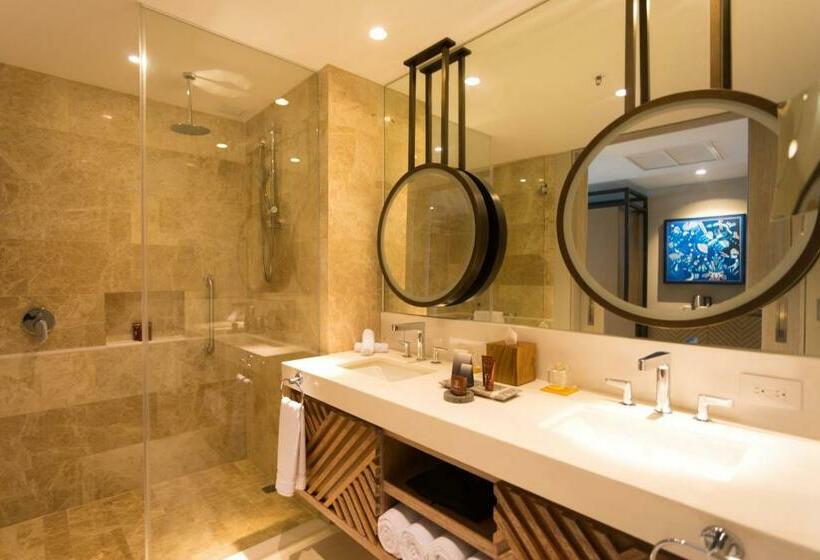 חדר סטנדרט, מיטת קינג, מותאם לאדם עם מוגבלויות, Conrad Punta De Mita