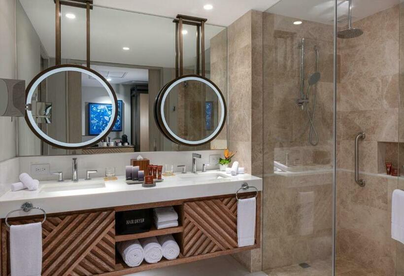 חדר סטנדרט מותאם לאדם עם מוגבלויות, Conrad Punta De Mita