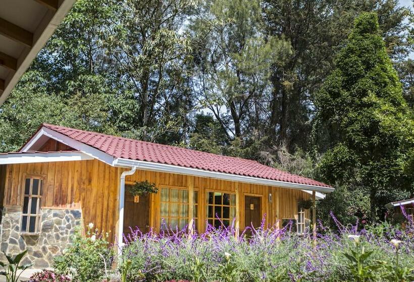 اتاق استاندارد سه نفره, De Montana Suria