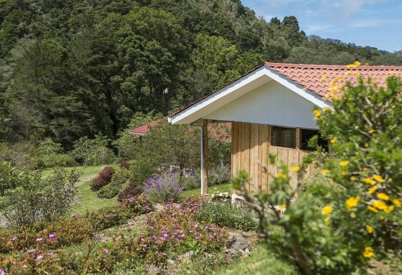 اتاق استاندارد سه نفره, De Montana Suria