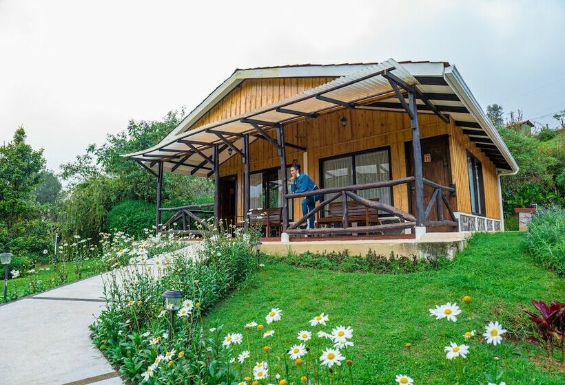 ویلای 1 خوابه, De Montana Suria