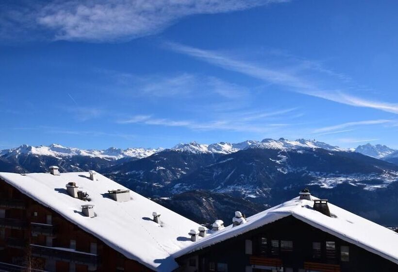 חדר בסיסי, Des Masques