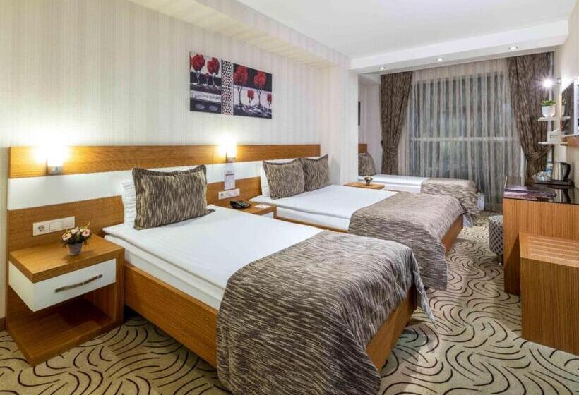 Номер Стандарт Трехместный, Dies