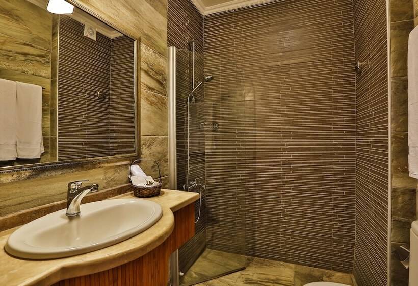 اتاق اساندارد با چشم‌انداز جانبی به دریا, Palace Hotel Olive Odore