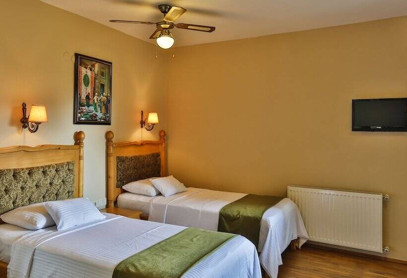 اتاق اساندارد با چشم‌انداز جانبی به دریا, Palace Hotel Olive Odore