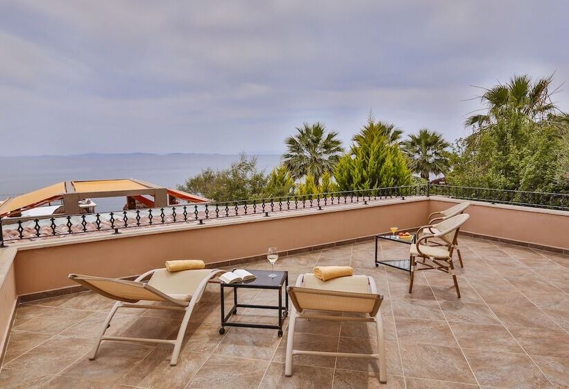 اتاق استاندارد با تراس, Palace Hotel Olive Odore