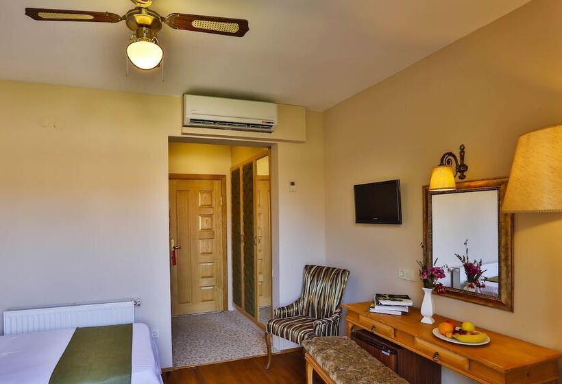 اتاق استاندارد با تراس, Palace Hotel Olive Odore