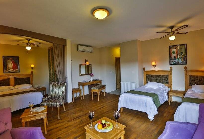 اتاق خانوادگی, Palace Hotel Olive Odore