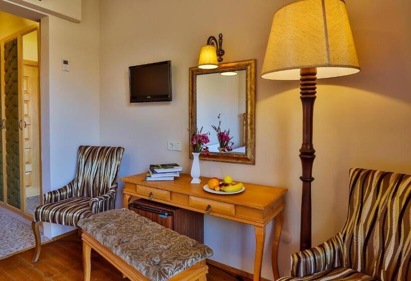 اتاق اساندارد با چشم‌انداز جانبی به دریا, Palace Hotel Olive Odore