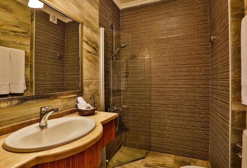 اتاق اساندارد با چشم‌انداز جانبی به دریا, Palace Hotel Olive Odore