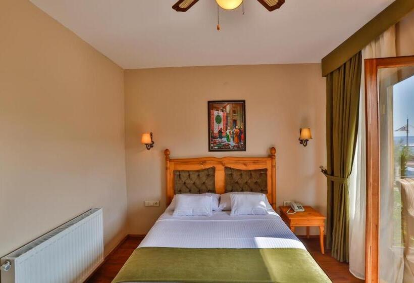 اتاق استاندارد با تراس, Palace Hotel Olive Odore