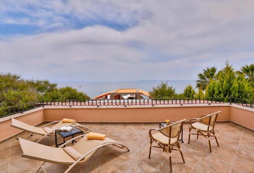 اتاق استاندارد با تراس, Palace Hotel Olive Odore