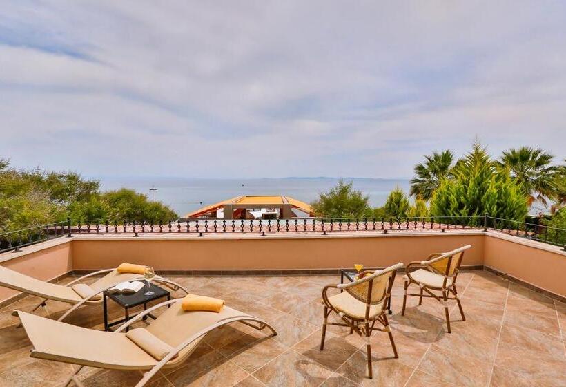 اتاق استاندارد با تراس, Palace Hotel Olive Odore