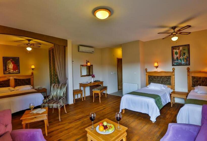 سوییت خانوادگی, Palace Hotel Olive Odore