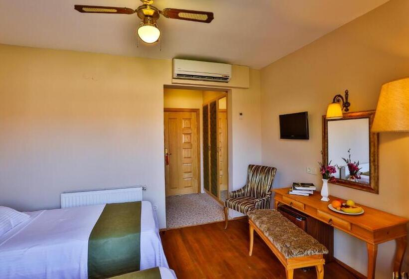 اتاق اساندارد با چشم‌انداز جانبی به دریا, Palace Hotel Olive Odore