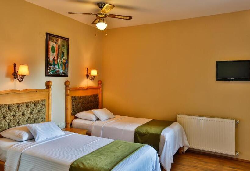 اتاق خانوادگی, Palace Hotel Olive Odore