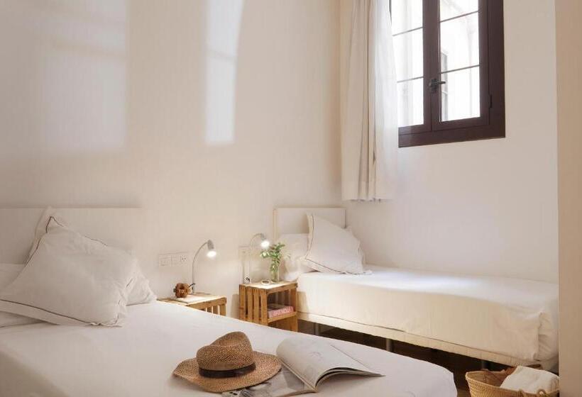 Chambre Standard, Som Nit Born