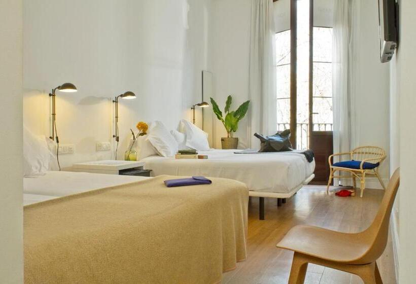 Chambre Familiale, Som Nit Born