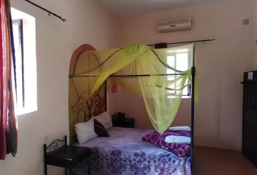 سوییت جونیور, Dar Tassa