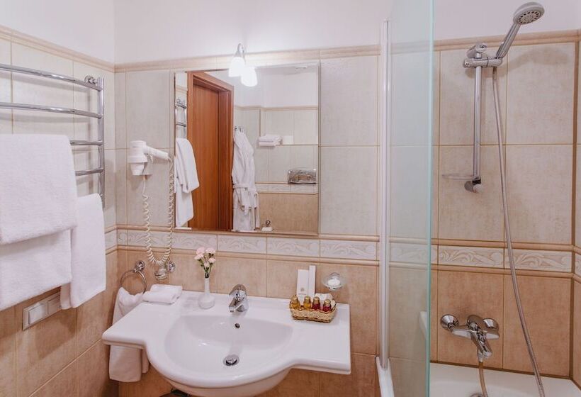 اتاق استاندارد یک نفره, Business Hotel Kupecheski