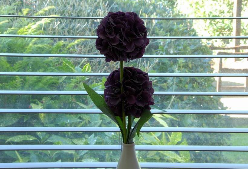 غرفة قياسية, New Westcliff