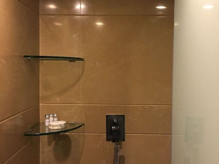 اتاق کلاس بیزنس, Radisson Blu Hotel Mbd Ludhiana