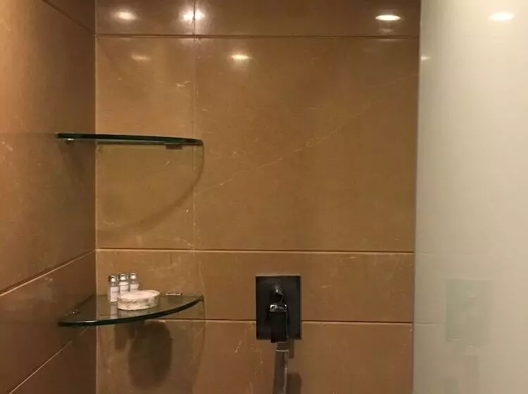ビジネスルーム, Radisson Blu Hotel Mbd Ludhiana