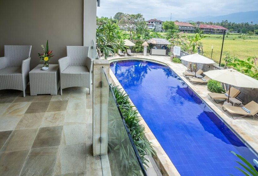 סוויטה דלוקס, The Lovina