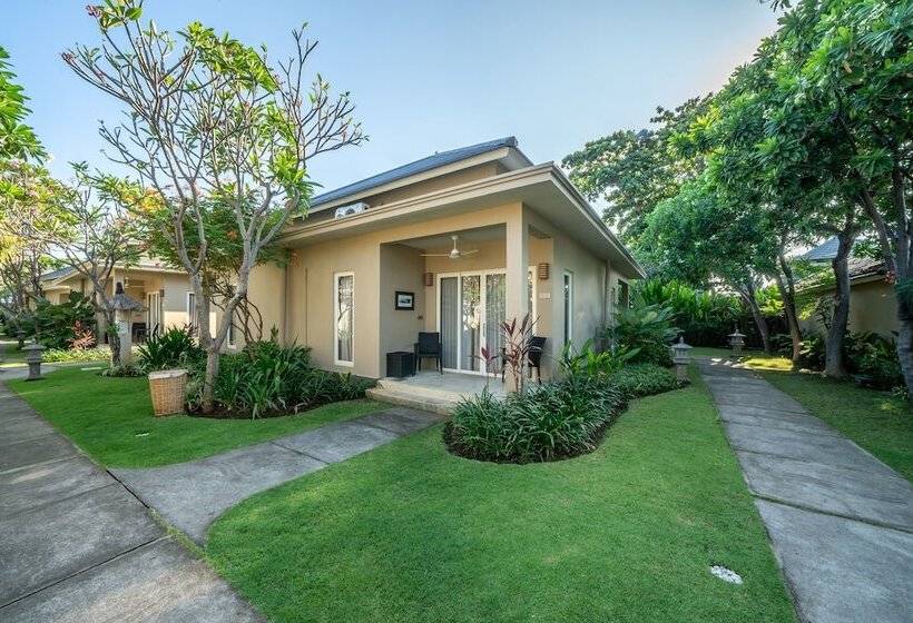 סטודיו דלוקס, The Lovina