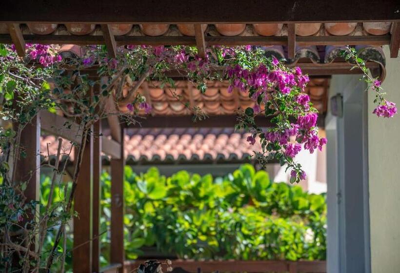 آپارتمان 1 خوابه, Village Muta