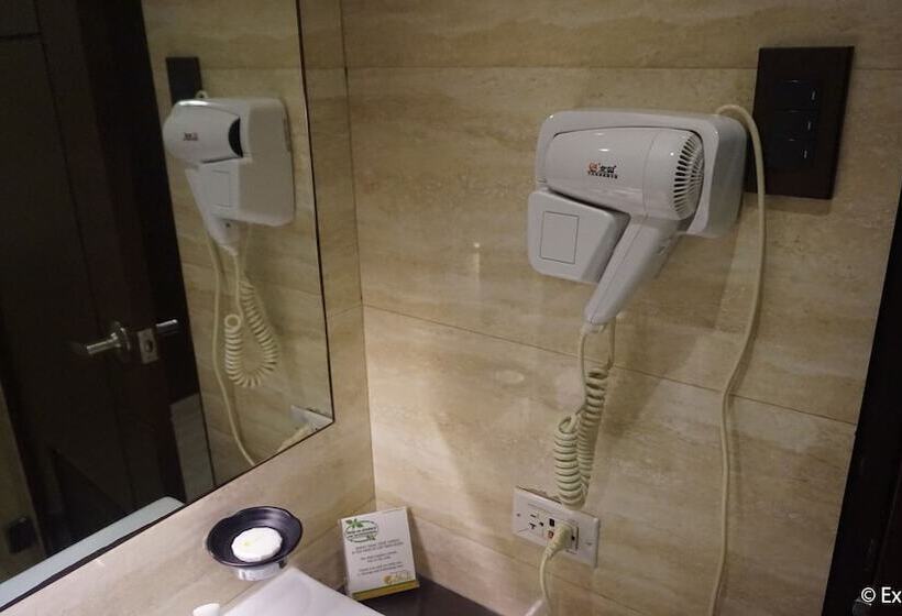 اتاق لوکس, Ace Hotel And Suites