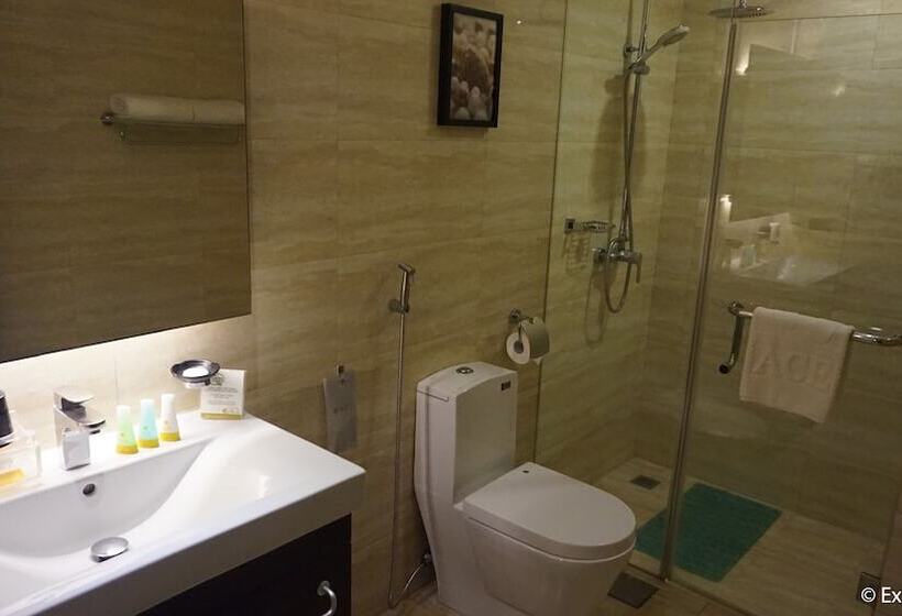 스위트, Ace Hotel And Suites