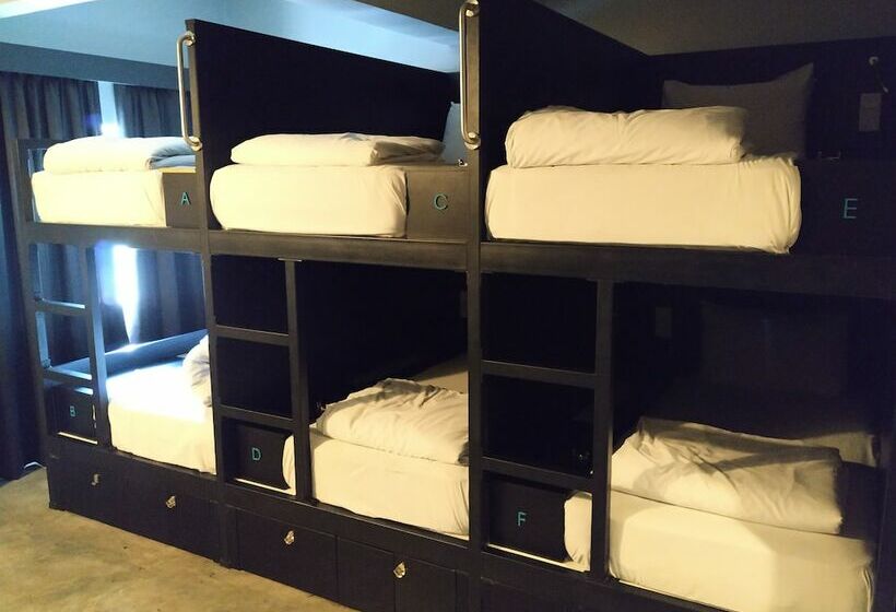 تختخواب در اتاق مشترک, Illuminate Boutique Hostel