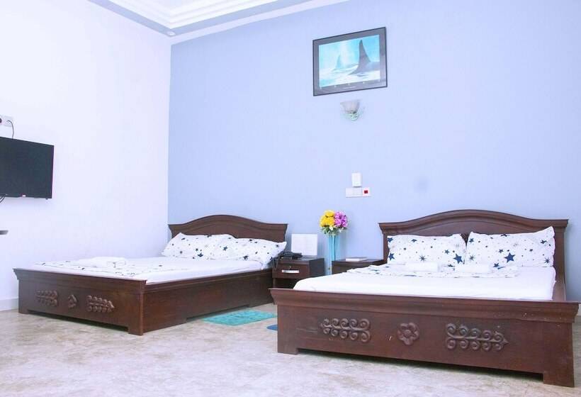 استودیوی استاندارد, Nora