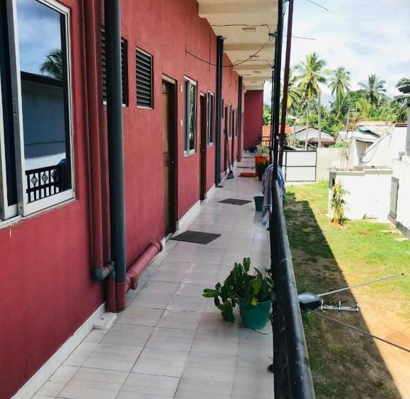 חדר אקונומי יחיד, Araliya